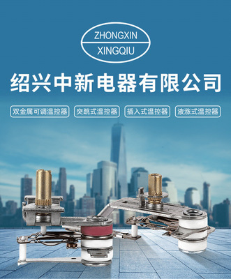 中新電器:溫控器領(lǐng)跑者煉成記