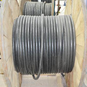 金力電纜中東線纜西安銷售處-電工電氣-