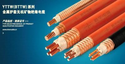 陜西津成電線津成電線電纜陜西公司
