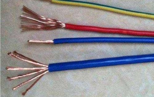 樹枝搭在裸露的電線上有什么危險