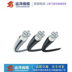 遠洋電線電纜 多圖 鋁合金電纜生產(chǎn)廠家 鎮(zhèn)巴鋁合金電纜